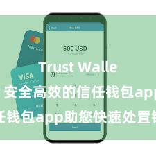 Trust Wallet历史版本 安全高效的信任钱包app助您快速处置钞票